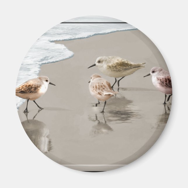 Íman Pistas de areia na costa (Frente)