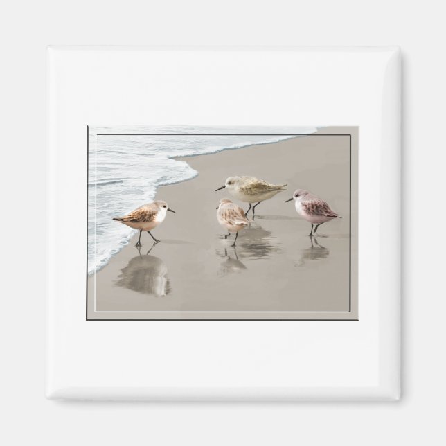 Íman Pistas de areia na costa (Frente)