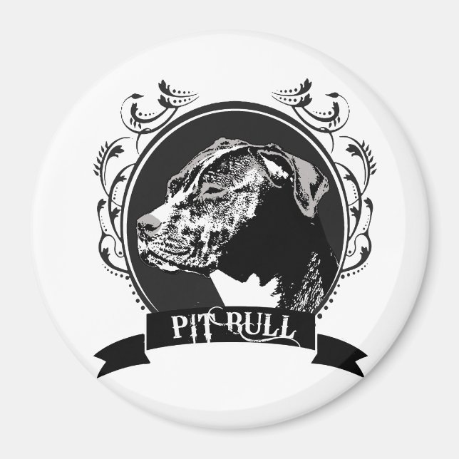 ÍMAN PIT BULL (3) (Frente)