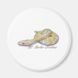 Íman Pitão da bola do Hatchling do albino