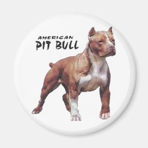 Íman Pitbull