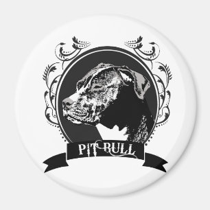 ÍMAN PITBULL (3)