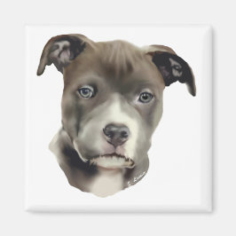 Íman Pitbull Azul