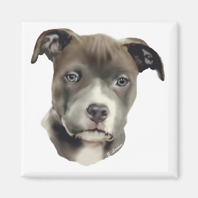 Íman Pitbull Azul (Frente)