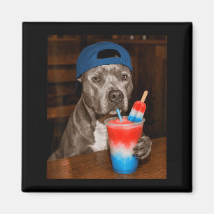Íman Pitbull Bebendo Slusie Patriótico Meme de Cachorro