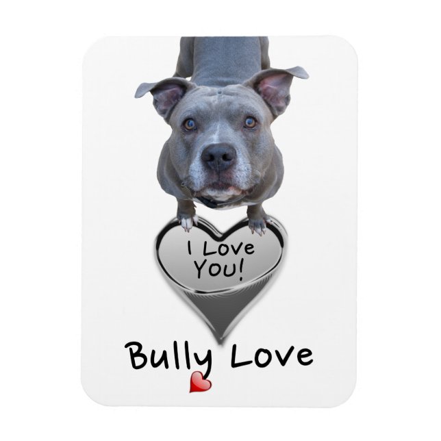 Íman Pitbull Bully Love Magnet (Vertical)