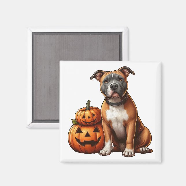 Íman Pitbull com Abóboras de Halloween (Front/Back)
