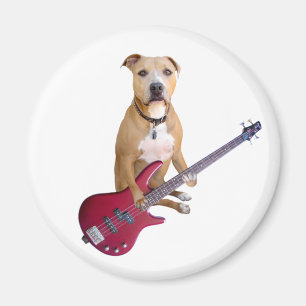 Íman Pitbull com guitarra