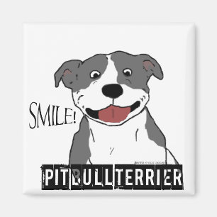 Íman Pitbull de sorriso (azul e branco)