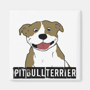 Íman Pitbull de sorriso (nome da raça de Tan e de