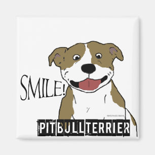 Íman Pitbull de sorriso (Tan e branco)