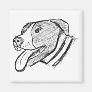 Íman pitbull desenho à mão foto cachorro amante de anim