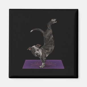 Íman Pitbull Fazendo Yoga Meditação Zen Namaste Cachorr
