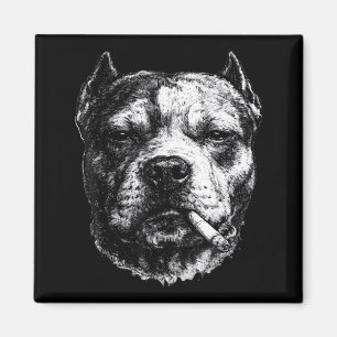 Íman Pitbull fumando, meme engraçado de cachorro fumand