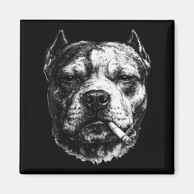 Íman Pitbull fumando, meme engraçado de cachorro fumand (Frente)