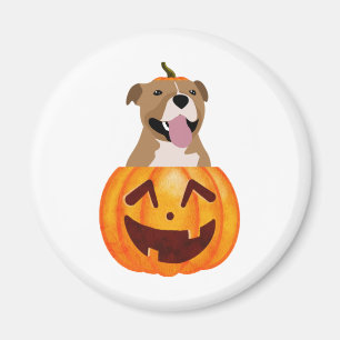 Íman Pitbull Halloween