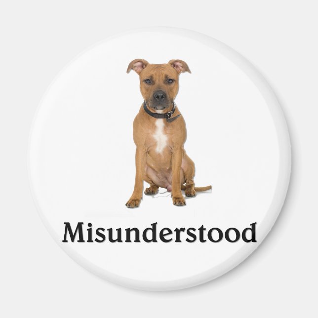 Íman Pitbull - Incompreendido (Frente)