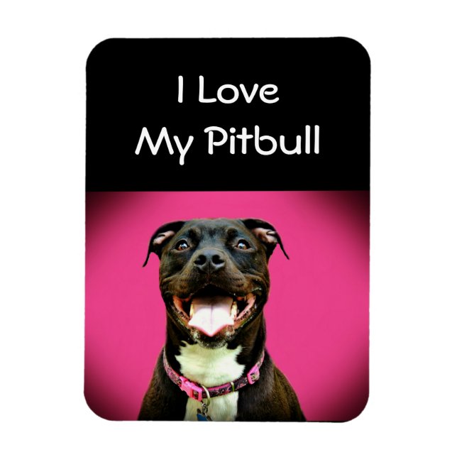 Íman Pitbull Love (Vertical)