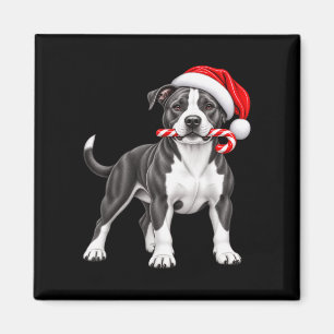 Íman Pitbull natal chapéu de papai noel bengala natal c