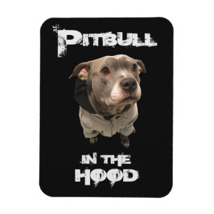 Íman Pitbull no ímã da capa