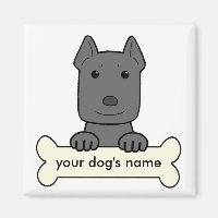 Pitbull Personalizado
