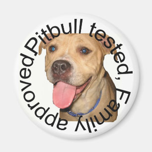 Íman Pitbull testou o ímã