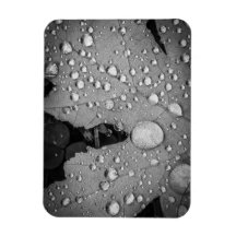 Pitter Patter — Imagem flexível de fotos de 3" x 4