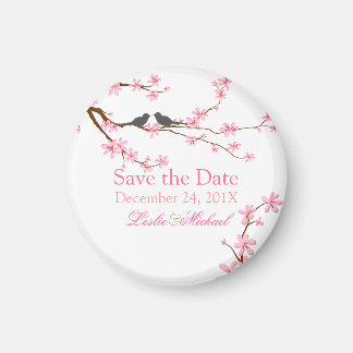 Íman PixDezines Cherry Blossom+aves de amor