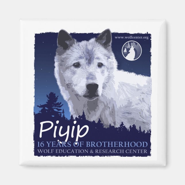 Íman Piyip Magnet (Frente)