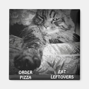 ÍMAN PIZZA OU SOBRAS?