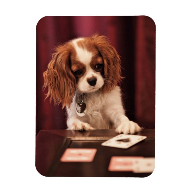 Íman Placas Puppy Plays (Vertical)