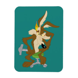 Íman Planejamento do WILE E. COYOTE™