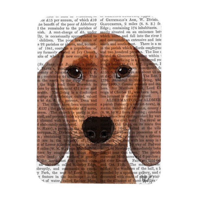Íman Planilha de Ilustração de Dachshund (Vertical)