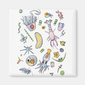 Íman Plankton Marinho Pastel em Aquarela