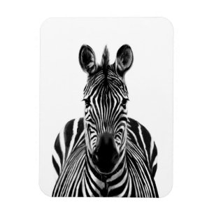 Íman Plano de backup III