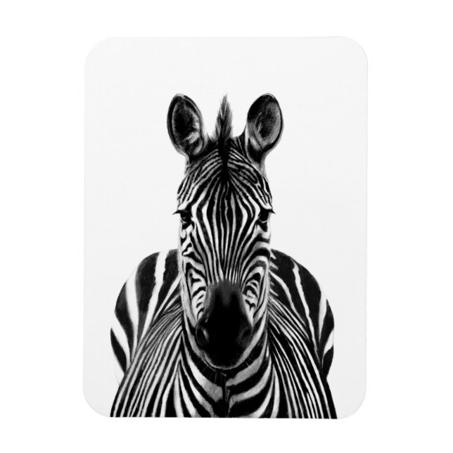 Íman Plano de backup III (Vertical)