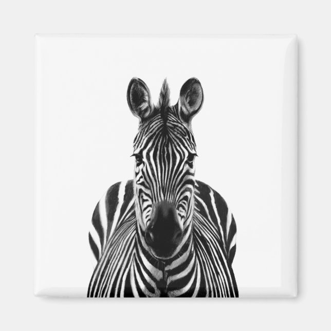 Íman Plano de backup III (Frente)