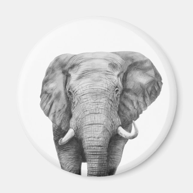 Íman Plano de backup IV (Frente)