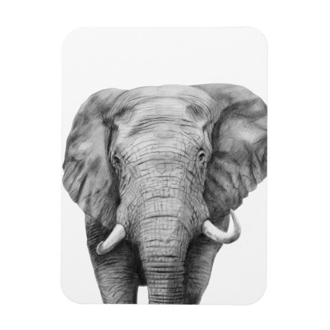 Íman Plano de backup IV (Vertical)