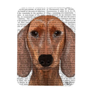 Íman Plano de Ilustração de Dachshund