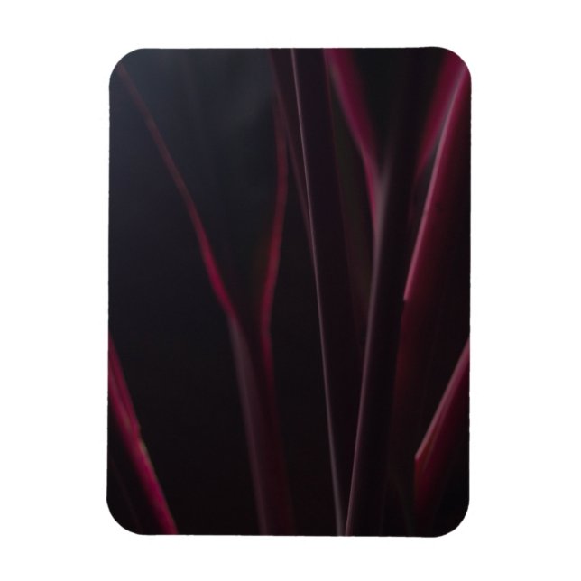 Íman Planta Ti Havaiana (Vertical)
