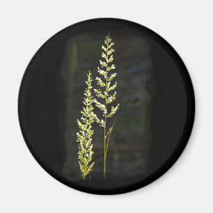 Íman Planta Verde