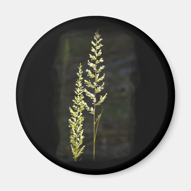 Íman Planta Verde (Frente)