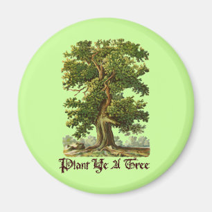 Íman Planta YE um slogan do verde da árvore