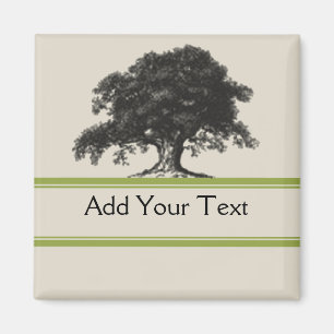 Íman Plantação de árvores de carvalho em verde