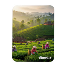 Íman Plantação de Chá de Munnar Kerala Índia