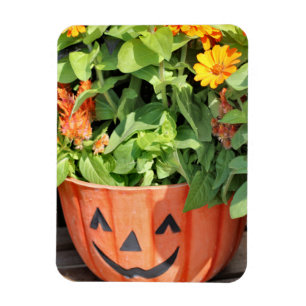 Íman Plantador de queda
