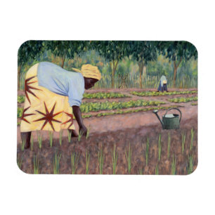 Íman Plantando as cebolas 2005