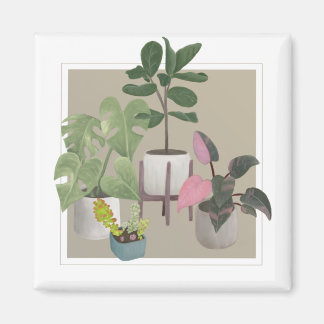 Íman Plantas caseiras.