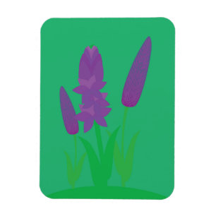 Íman Plantas de Lavanda